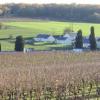 Site officiel du village de Turquant - Le village - Cartes postales : Le vignoble